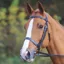 Shires Velociti GARA Plain Bridle in Havana